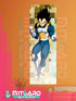 DRAGON BALL SUPER Vegeta wall scroll fabric or Adhesive Vinyl poster - Vinil poster GLOSSY / 50cm x 150cm - 2